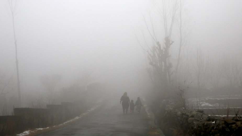 Vozači oprez: Magla oko Novog Sada 1