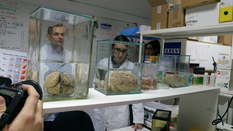 “Oči u oči sa strahom” na Festivalu nauke 2