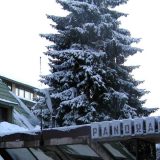 Rasprodani aranžmani, "Panorama" puna 13