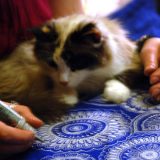 Etno odeća - novi modni trendovi 5