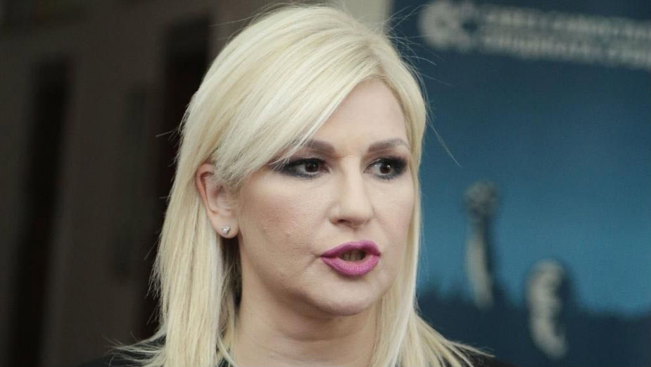 Mihajlović: Interes i Srbije i Hrvatske je da smanjimo gužve na granicama 1