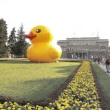 Inicijativa: Sloboda govora u Srbiji ugrožena 13