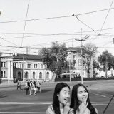 Kako zlatna viljuška simboliše Stefana Nemanju? 9