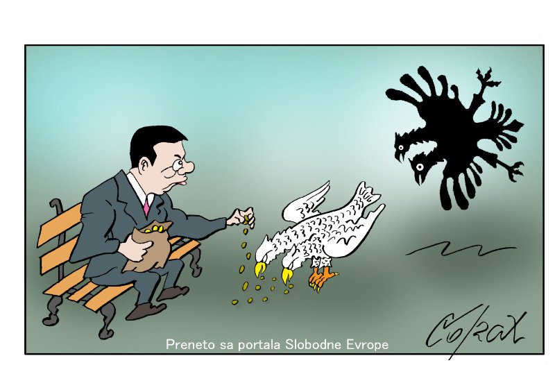 Corax 12