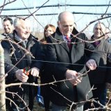 Krkobabić u praktičnoj školi zadrugarstva 12