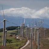 EDF gradi vetroparkove u Srbiji? 9