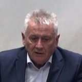 Velimir Ilić: Naprednjaci ne kraduckaju, kradu lopatama 4