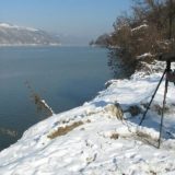 Veliki popis ptica na vodenim staništima 13