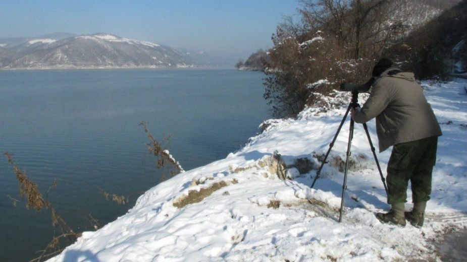 Veliki popis ptica na vodenim staništima 1