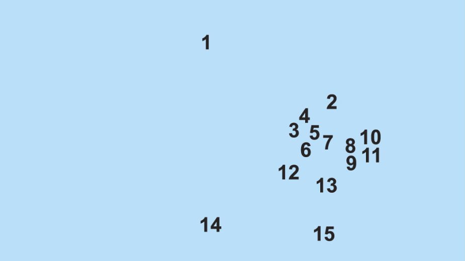 Jedinstvo u raznovrsnosti 1 Jedinstvo u raznovrsnosti 1