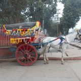 Agra: Povratak u prošlost 8