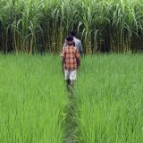 Lekcija iz ubrzanog privrednog rasta 2