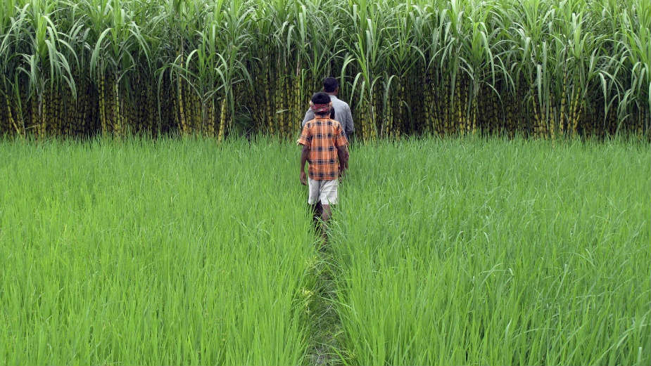 Lekcija iz ubrzanog privrednog rasta 1