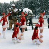 Karavan mimoze na Zlatiboru 12