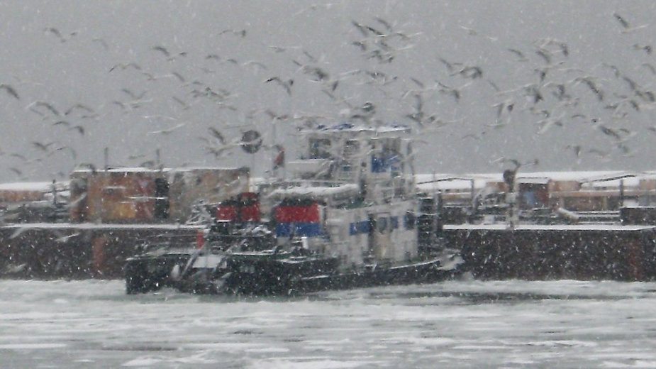 Plivanje na Bogojavljanje 1