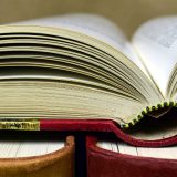 Uži izbor romana za NIN-ovu nagradu: Devet u polufinalu 3