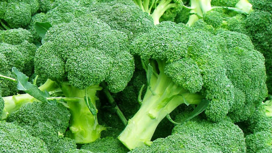 Brokolijem protiv prehlade, ali i kancera 1