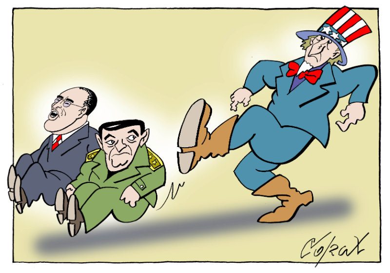 Corax 12