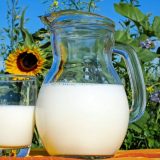 Koliko Evropljani piju mleka? 12