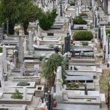 Beogradske Pogrebne usluge: Na grobljima ima dosta dotrajalnih i nestabilnih spomenika 12