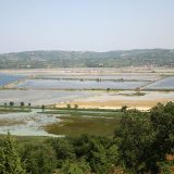 Ističe ultimatum ratnih veterana Plenkoviću 6