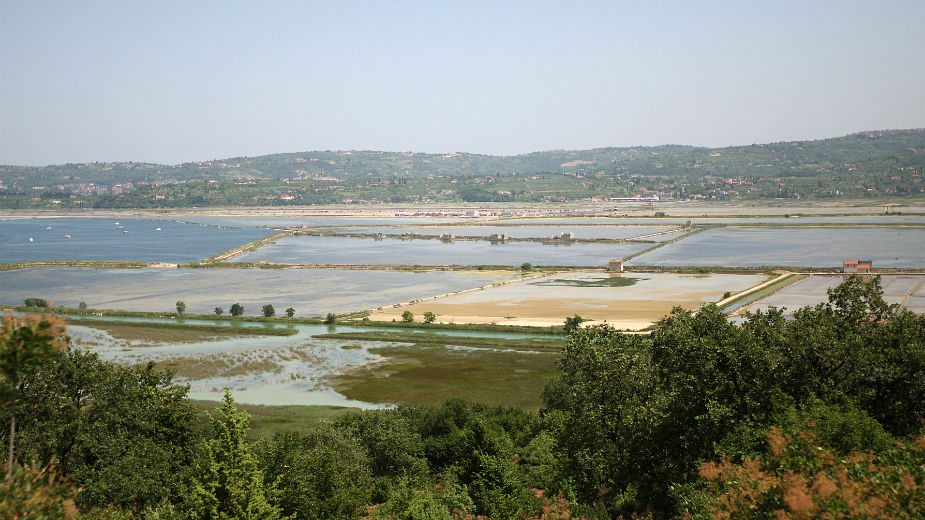 Ističe ultimatum ratnih veterana Plenkoviću 1