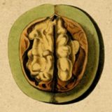 Druga sezona iste godine 11