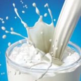 Salmonela u mleku u prahu 14