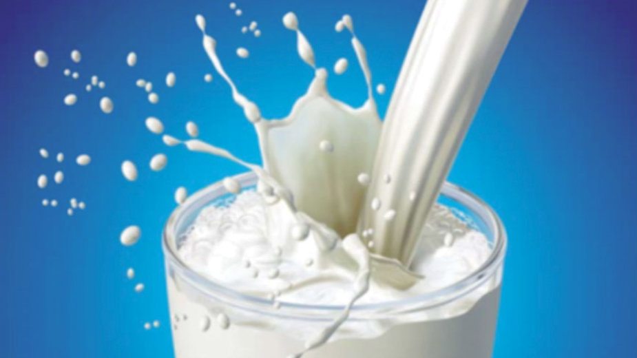 Salmonela u mleku u prahu 1 Salmonela u mleku u prahu 1