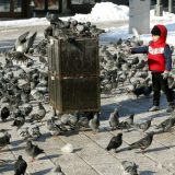 Iz BiH svake godine se iseli 10.000 Hrvata 6