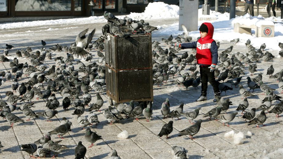 Iz BiH svake godine se iseli 10.000 Hrvata 1