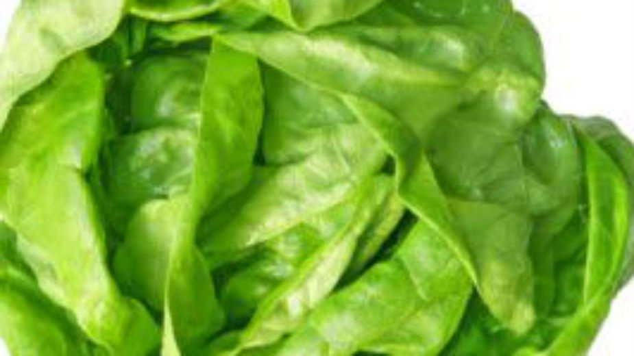 Zelena salata za miran san 1