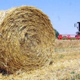 Lesaffre kupuje fabriku ekstrakta kvasca kompanije Alltech u Srbiji 10