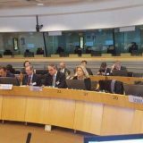 Čadež na čelu odbora za digitalizaciju Evrokomore 13