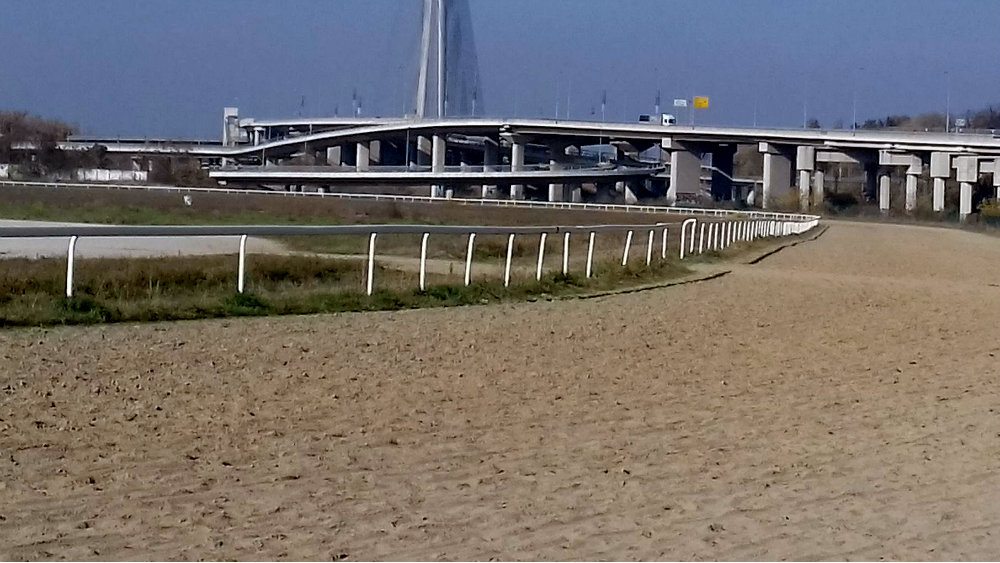 Hipodrom: Duga istorija konjičkih trka 1