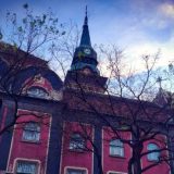 Subotica vanredno o spomeniku Matiji Korvini 5