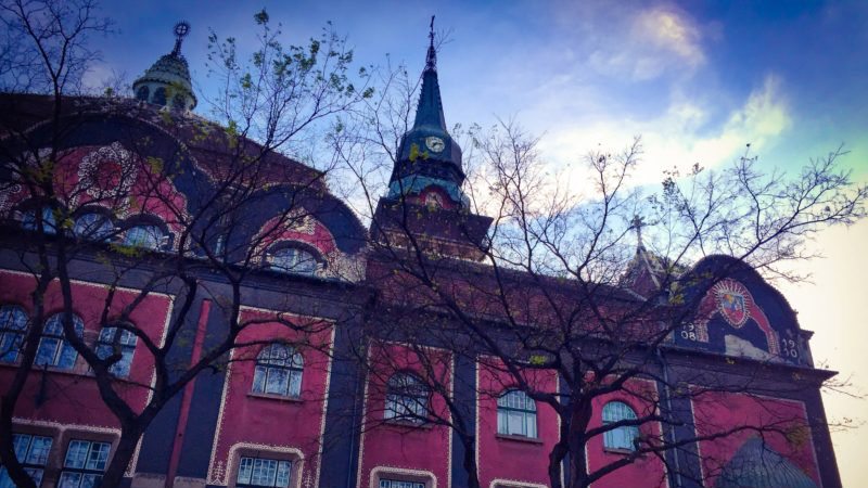 Subotica vanredno o spomeniku Matiji Korvini 1