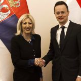 Joksimović: Mađarska iskren partner Srbije 8