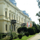 Za pošumljavanje Braničevskog okruga 11 miliona dinara 13