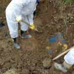 Sprečen novi ekološki akcident u Obrenovcu 4