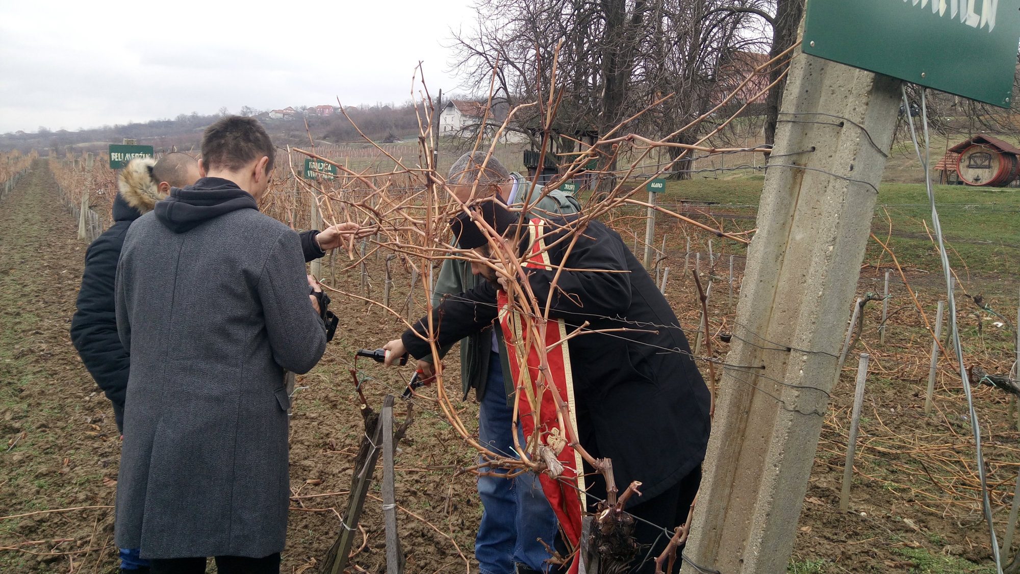 Proslava Svetog Trifuna u Aleksandrovcu 1 Proslava Svetog Trifuna u Aleksandrovcu 1