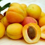 U Hrvatskoj zabrana za koštice kajsija 1