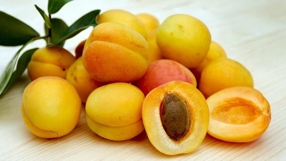 U Hrvatskoj zabrana za koštice kajsija 1