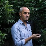 Medicinski kanabis polako ulazi u EU 4