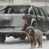 Grčka zavejana snegom 4