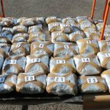 Na Horgošu zaplenjeno oko 25 kg marihuane 8