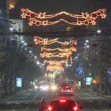 Inicijativa Ne da(vi)mo Beograd: Uklonite novogodišnju rasvetu 7