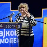Rada Trajković: DS je institucija a ne instant stranka 6