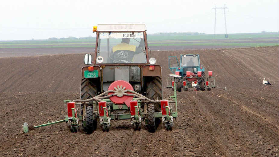 Poljoprivrednici: Suvo zemljište sprečava setvu pšenice 1