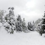 Vlasinska visoravan u snežnoj blokadi 4